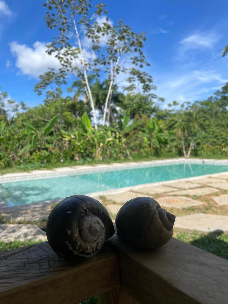 Purachata Ecolodge อีกีโตส ภายนอก รูปภาพ