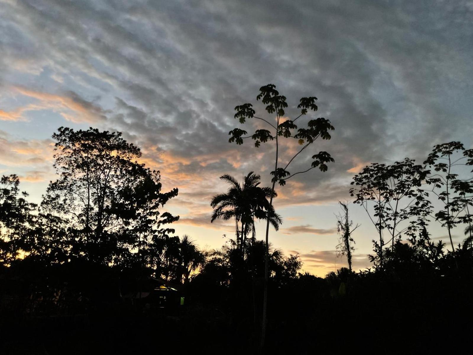 Purachata Ecolodge อีกีโตส ภายนอก รูปภาพ