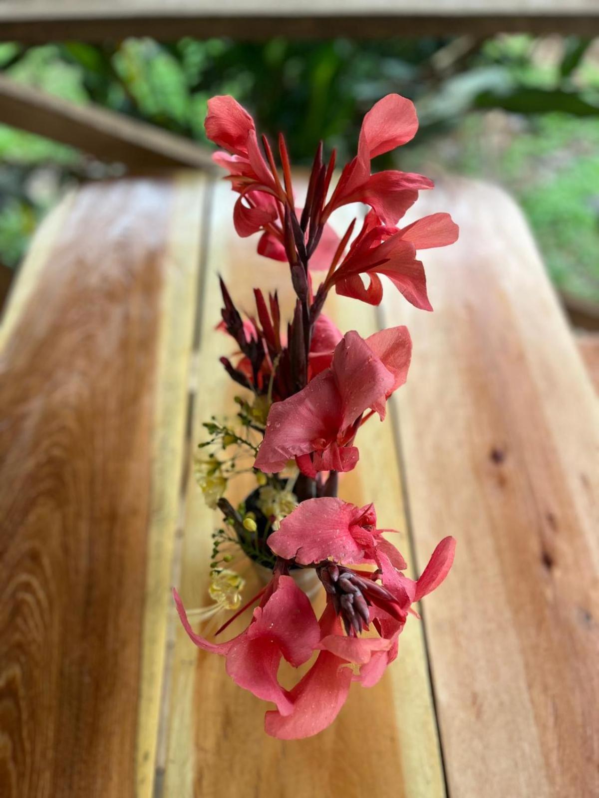 Purachata Ecolodge อีกีโตส ภายนอก รูปภาพ