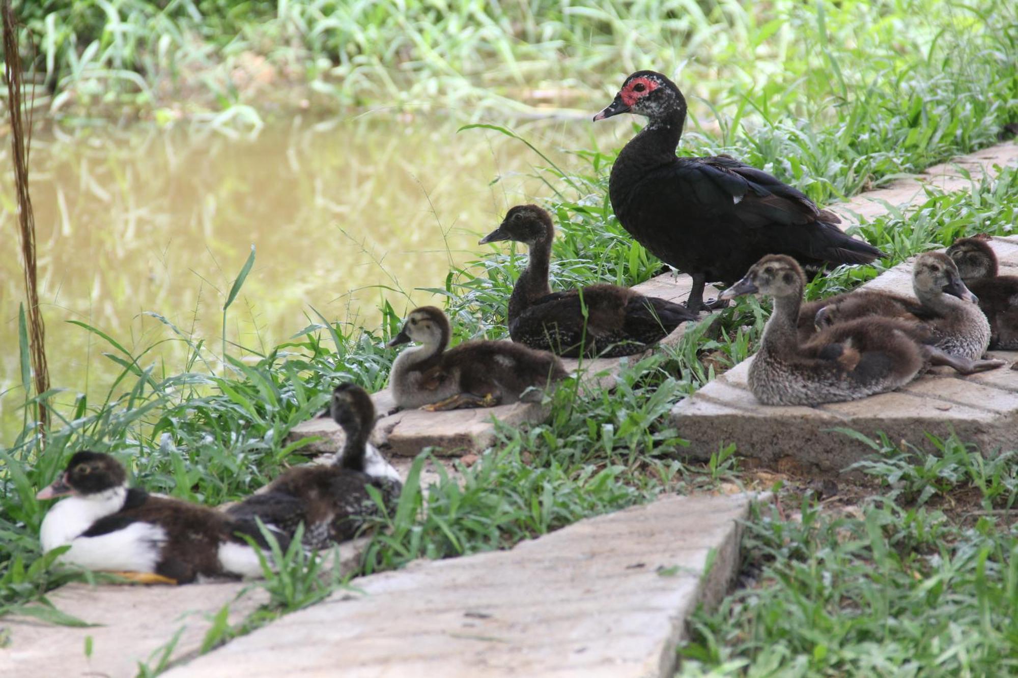 Purachata Ecolodge อีกีโตส ภายนอก รูปภาพ