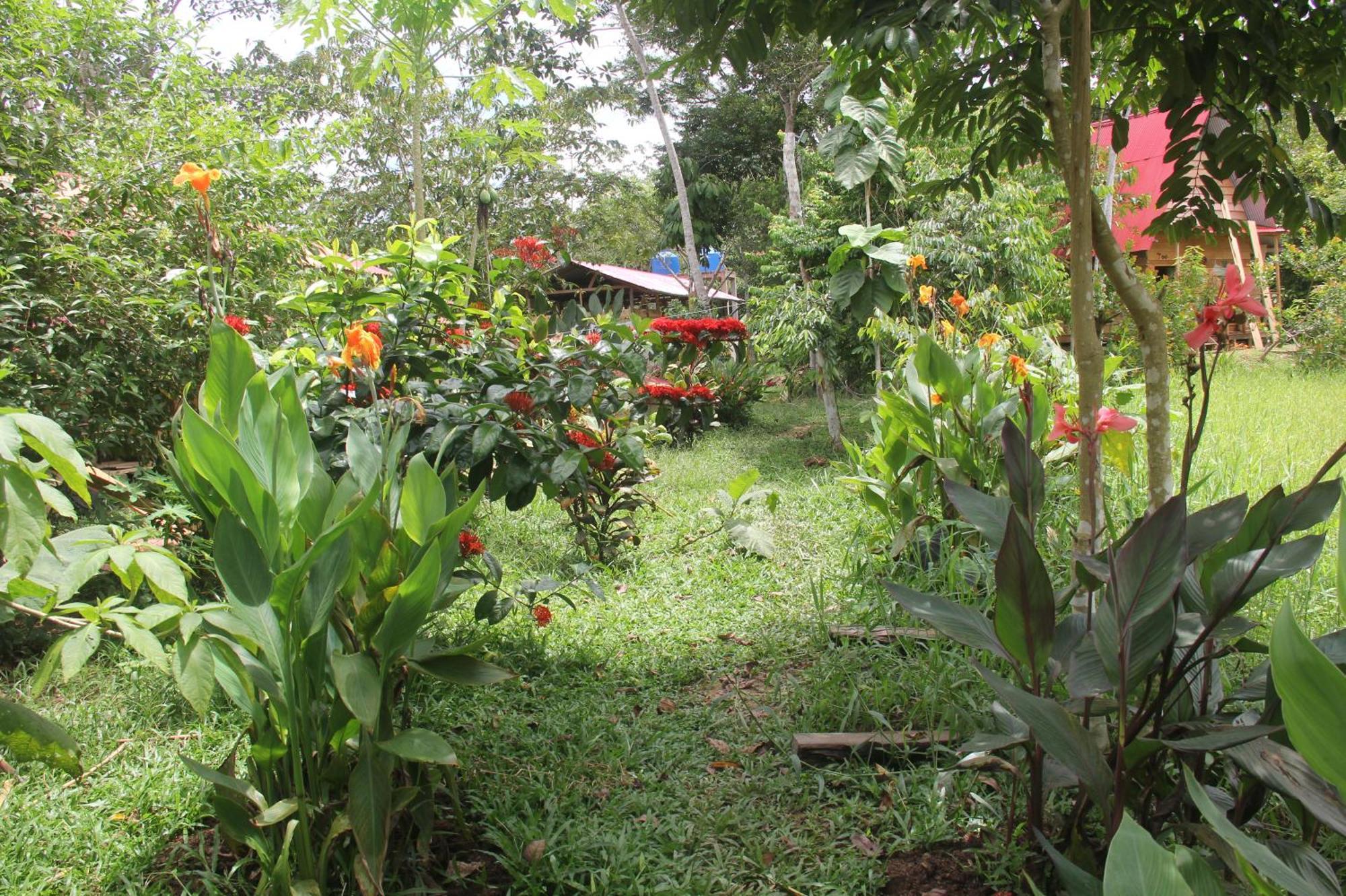Purachata Ecolodge อีกีโตส ภายนอก รูปภาพ